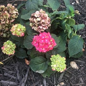 Meet your Posher, Stacey